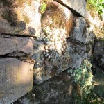 Altes Gemaeuer