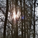 Bild013_Neg.Nr.13
