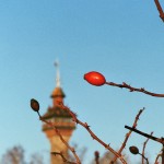 Bild028_Neg.Nr.28
